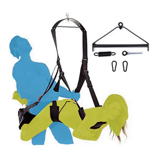 Introduction to Sex Swings