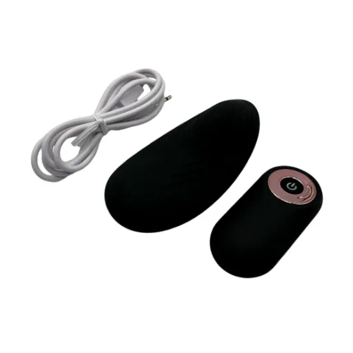 Understanding How a Remote Controlled Vibrator Works