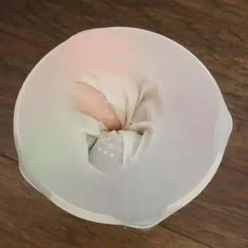Introduction to DIY Pussy Projects