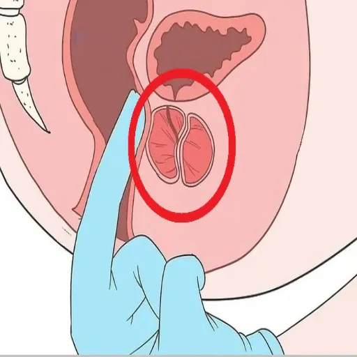 Safe Lubrication Practices for Anus Massage