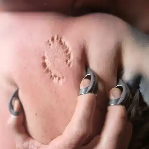 Primal BDSM Dynamics