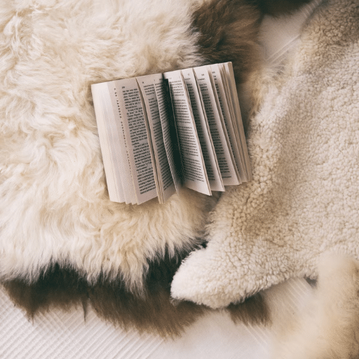 Thematic Exploration in Erotic Short Stories